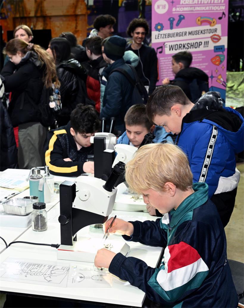 Faszinierende Einblicke mit dem Mikroskop
