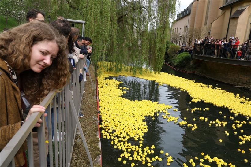 „Feucht-fröhlich“ für den guten Zweck: Das „Duck Race“ stellt eine besondere Form der Tombola dar
