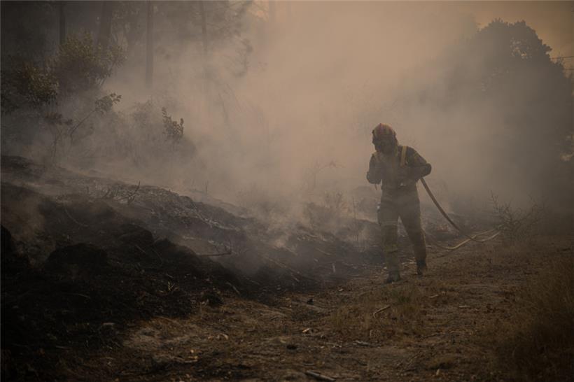 Feuerwehreinheiten bekämpfen einen Waldbrand im Gebiet Parada Monte im Norden Portugals
