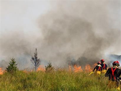 Feuerwehrleute im Einsatz beim Großbrand im Naturschutzgebiet Hohes Venn