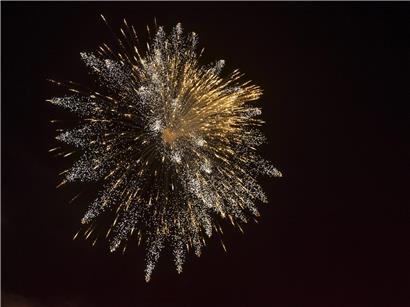 Feuerwerk am Nachthimmel mit bunten Lichtern, das viele Tiere durch laute Knalle ängstigt und stört