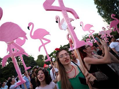 Flamingos als Symbol der Protestbewegung in Albanien bei Demonstration im Freien