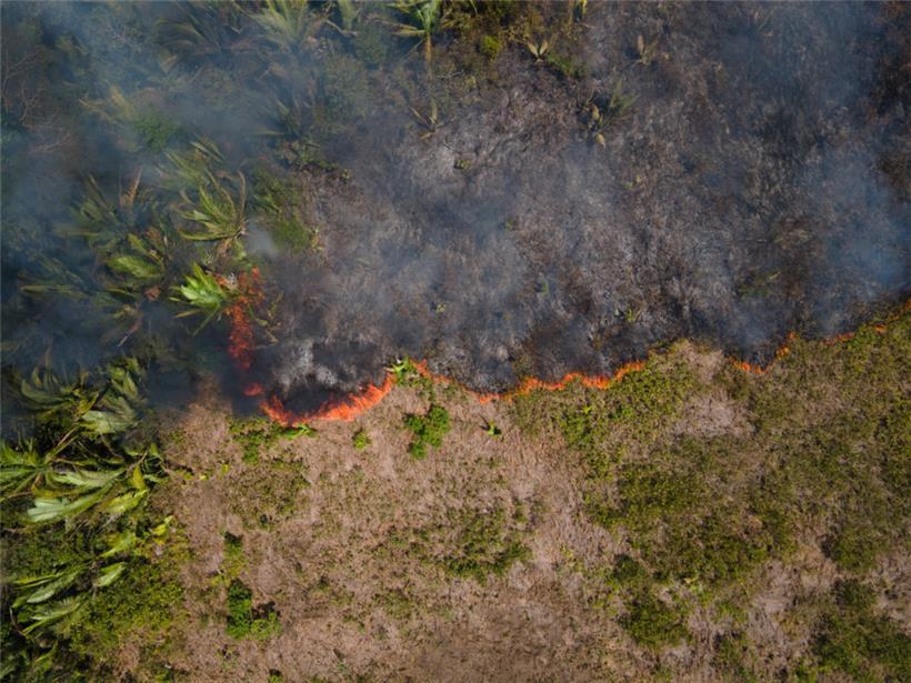 Flammen breiten sich in einem Amazonas-Gebiet aus
