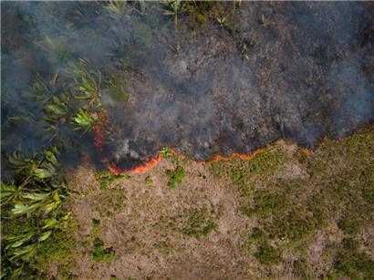 Flammen breiten sich in einem Amazonas-Gebiet aus
