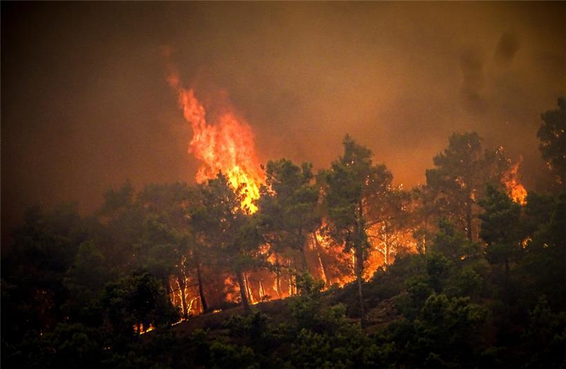 Flammen fressen sich durch einen Wald auf Rhodos 

