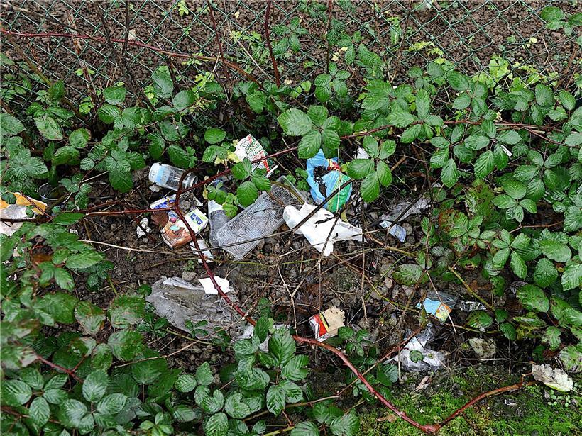 Folgen der Wegwerfgesellschaft