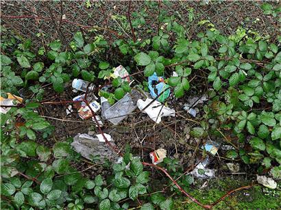 Folgen der Wegwerfgesellschaft