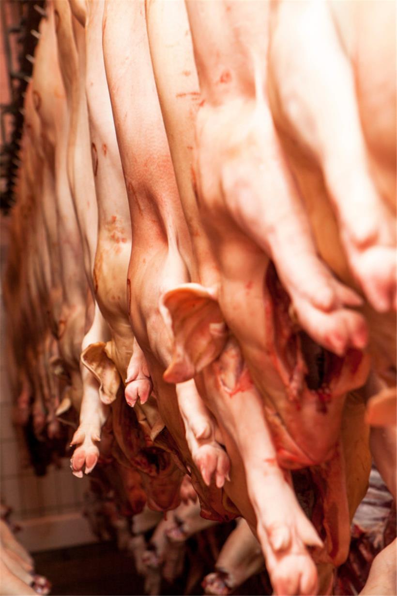 Foto aus dem Cobolux-Betrieb in Wecker im Jahr 2015
