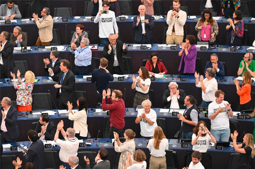 Freude in den Reihen der Grünen-Fraktion im EP nach der gewonnenen Abstimmung
