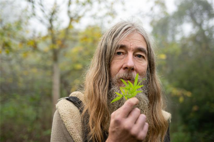 Friedmunt Sonnemann zeigt in seinem Garten eine Huacatay (Gewürztagetes) aus den Anden in Südamerika
