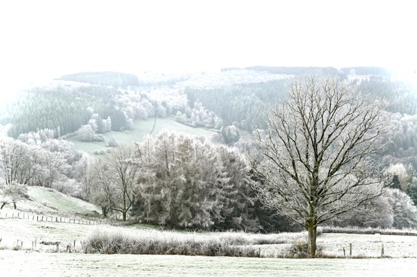 Frostiges Idyll im Luxemburger Norden: Grümelscheid am 9. Dezember
