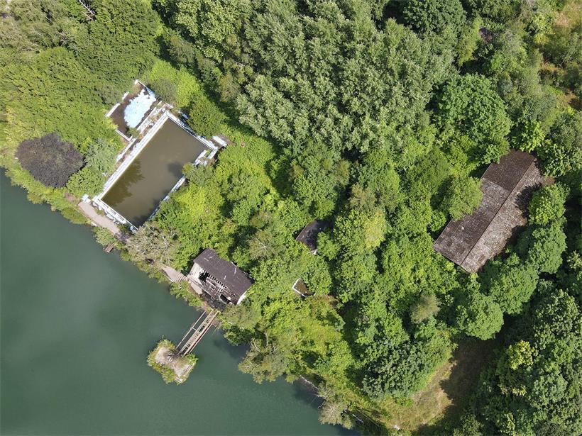 Verwildertes Flussufer mit dichter Vegetation, ehemals von Escher-Fischen bewohnt, jetzt natürliche Renaturierung des Areals