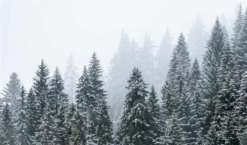 Frühwinterliche Unterwetter haben auf dem Balkan zu Katastrophenalarm und verheerenden Verwüstungen geführt
