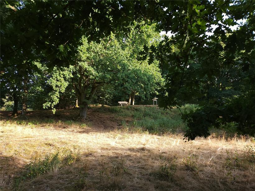 Für Erwachsene ist der Champignon eine Oase, für Kinder ein Abenteuerspielplatz
