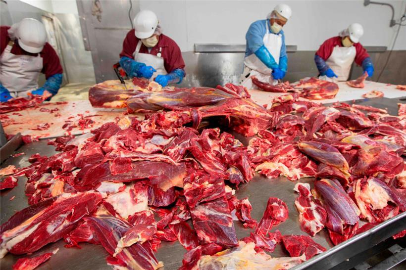 Für den Fleischgenuss blenden manche Tierleiden gerne aus

