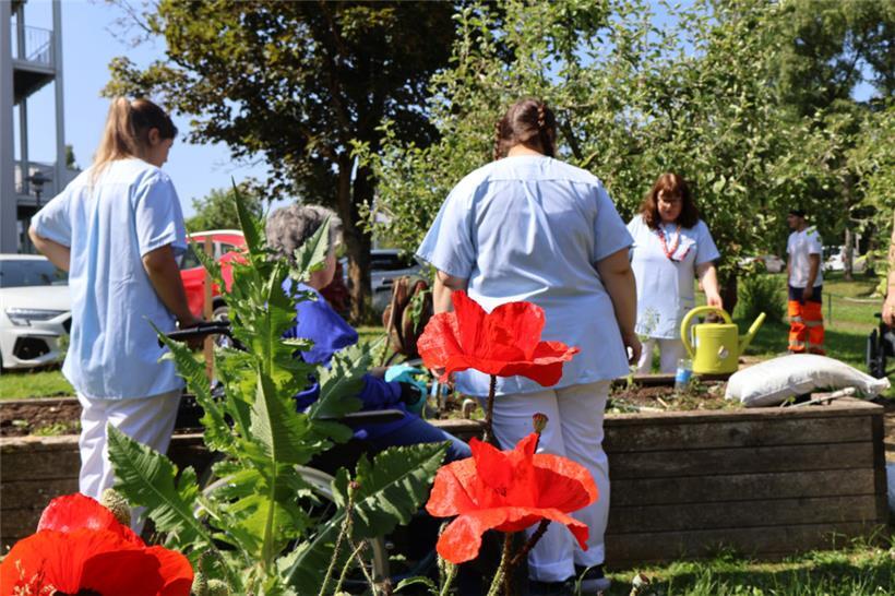 Für die Bewohner des Seniorenheims ist die Arbeit im Garten eine erwünschte Abwechslung
