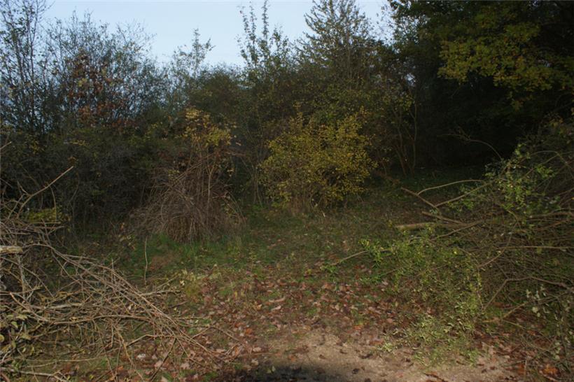 Fundstelle der Leichenteile in Temmels: Die Suchaktion der Polizei hat Spuren hi...