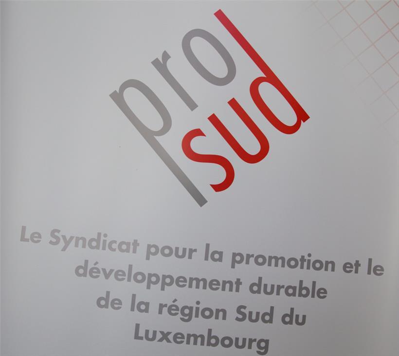 „Funktionsstörung“ bei Pro-Sud: Präsidentin Anouk Boever-Thill tritt zurück
