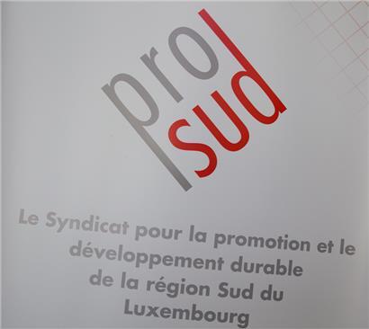 „Funktionsstörung“ bei Pro-Sud: Präsidentin Anouk Boever-Thill tritt zurück
