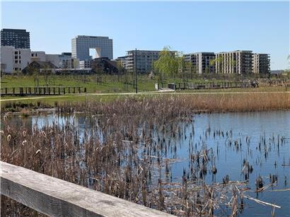 Langsame wirtschaftliche Erholung Luxemburgs nach Jahren der Flaute mit stetigem Wachstum und positiven Aussichten