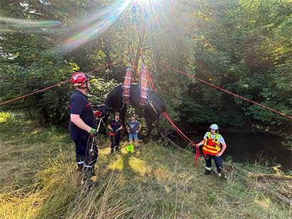 Gekonnt hieven die Feuerwehrleute die Kuh aus dem Bachlauf