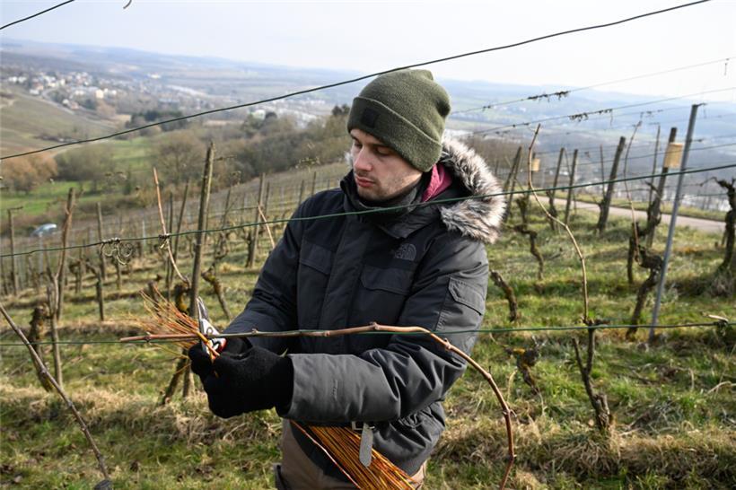 Gelangweilt oder konzentriert? Unser Politikredakteur Sidney Wiltgen bei der Arb...