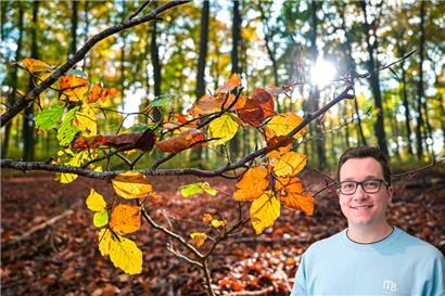 Gelegenheiten für schöne Herbstspaziergänge im bunten Laub wird es leider nicht so viele geben
