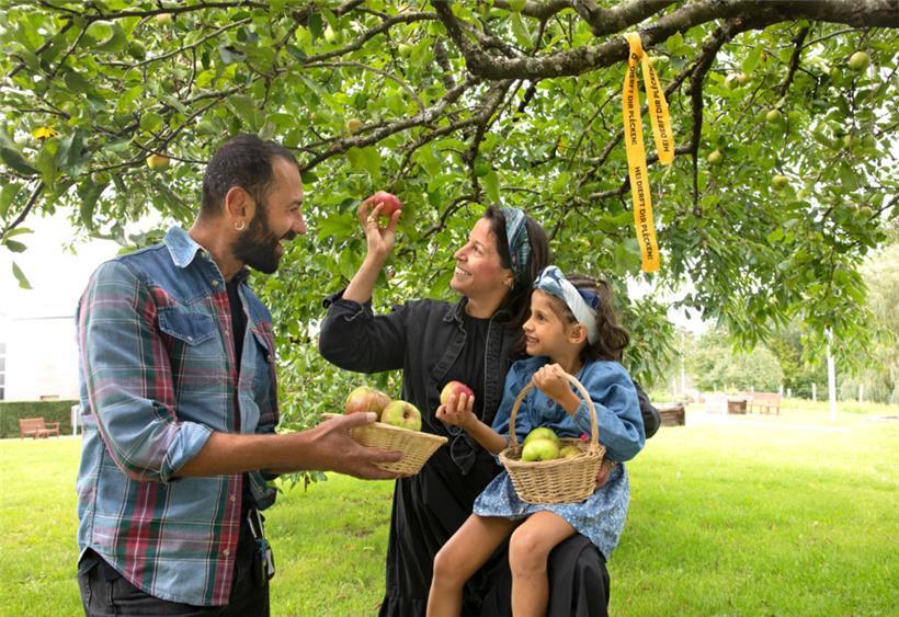 Gemeinsam gegen die Verschwendung von heimischem Obst: Die Aktion „Gielt Band – Hei dierft Dir plécken“ startet bereits zum vierten Mal
