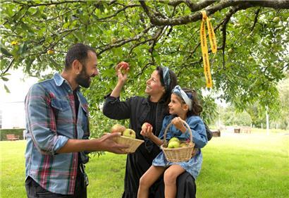 Gemeinsam gegen die Verschwendung von heimischem Obst: Die Aktion „Gielt Band – Hei dierft Dir plécken“ startet bereits zum vierten Mal
