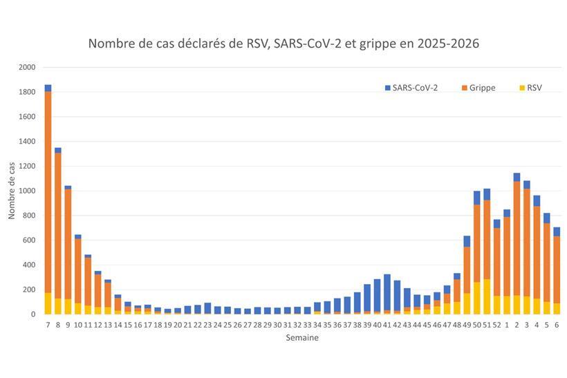 Diagramm mit gemeldeten Fällen von RSV, Covid-19 und Grippe in der Saison 2025-2026