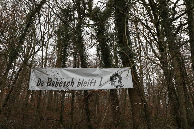 Genauso lange, wie über die Umgehung gesprochen wird, gibt es Kritik. Die letzte Aktion war die Besetzung des Waldes durch Jugendliche im Juli 2022, um gegen die aktuell geplante Trasse zu protestieren.
