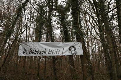 Genauso lange, wie über die Umgehung gesprochen wird, gibt es Kritik. Die letzte Aktion war die Besetzung des Waldes durch Jugendliche im Juli 2022, um gegen die aktuell geplante Trasse zu protestieren.
