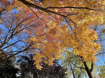 Genießen, bevor es umschlägt: die bunten Facetten des Herbstes
