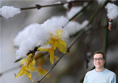 Gestern drohte in der Großregion „Erkältungsgefahr“ für einige Frühblüher

