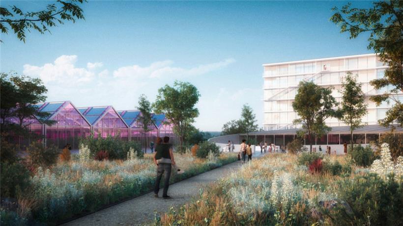 Gewächshäuser mit lokaler Produktion sollten ebenfalls ein Teil des „Handwierkerhaffs“ werden
