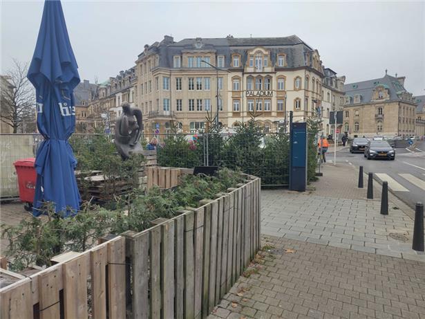 Gilbert Legil verkauft am boulevard Pétrusse (Foto), sein Partner Charles Hary auf dem Glacis – auch in Bonneweg und Merl gibt es Verkaufsstände
