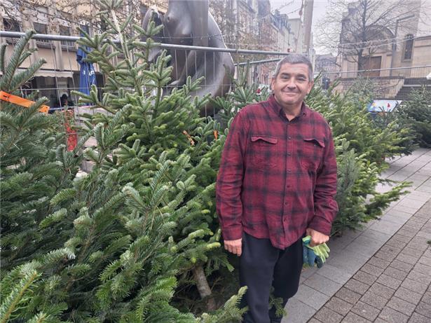 Gilbert Legil verkauft „schon ewig“ Weihnachtsbäume
