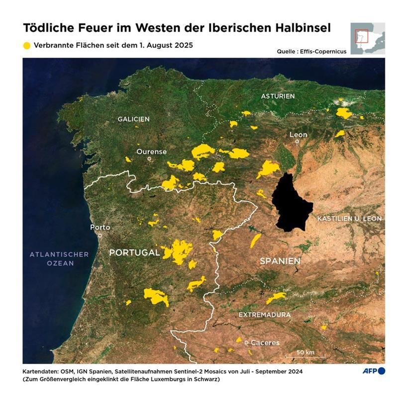 Größenvergleich: Nach vorläufigen Schätzungen des Europäischen Waldbrand-Informationssystems EFFIS wurden seit Jahresbeginn über 3.800 Quadratkilometer Natur in Spanien zerstört. Eine Fläche deutlich größer als das komplette Großherzogtum (2.586 Quadratkilometer).
