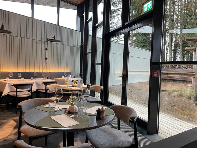 Große Fensterfronten lassen viel Tageslicht herein und bieten einen Blick auf die umliegende Natur

