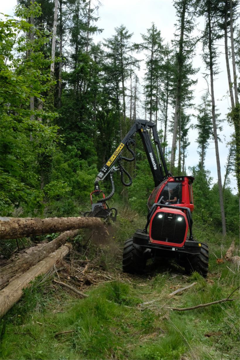 Große Maschinen wie diese können Bäume in weniger als einer Minute fällen und entasten.
