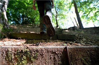 Große Nachfrage nach Infos über Wanderwege während der Zeit des „Confinement“: Seit Pfingsten steigt nach Angaben des ORT Müllerthal  die Nachfrage von Gästen, die in der Region übernachten und den Mullerthal Trail in Tagesetappen laufen wollen. 
