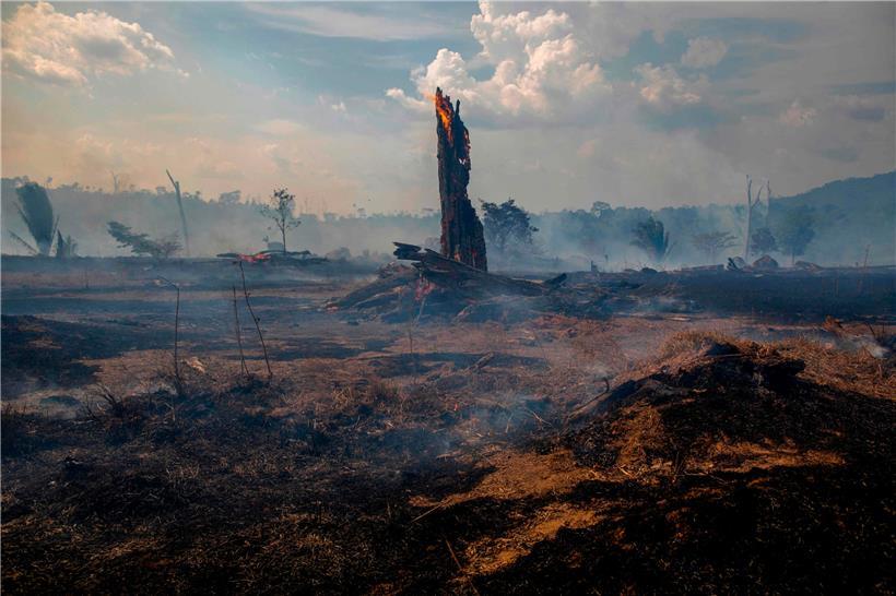 Große Teile des Regenwaldes im Amazonas, wie hier in Altamira im brasilianischen Bundesstaat Para, fallen dem Feuer und Brandrodungen zum Opfer
