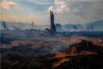 Große Teile des Regenwaldes im Amazonas, wie hier in Altamira im brasilianischen Bundesstaat Para, fallen dem Feuer und Brandrodungen zum Opfer
