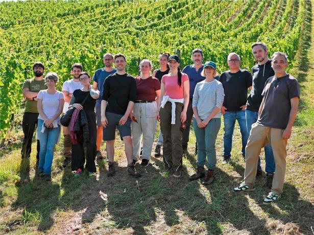 Großer Einsatz der Tageblatt-Redaktion bei der Lese
