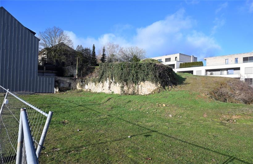 Grundstück hinter und neben dem Elternhaus von Raymond Justin Petit. Hier in der...