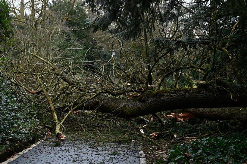 Gut, dass hier gesperrt war: Ein Baum ist im Luxemburger Stadtpark umgefallen.
