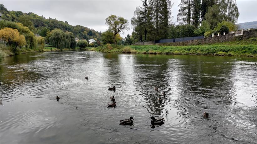 Gut für die Natur: Im September hat es wieder geregnet
