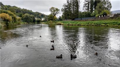 Gut für die Natur: Im September hat es wieder geregnet
