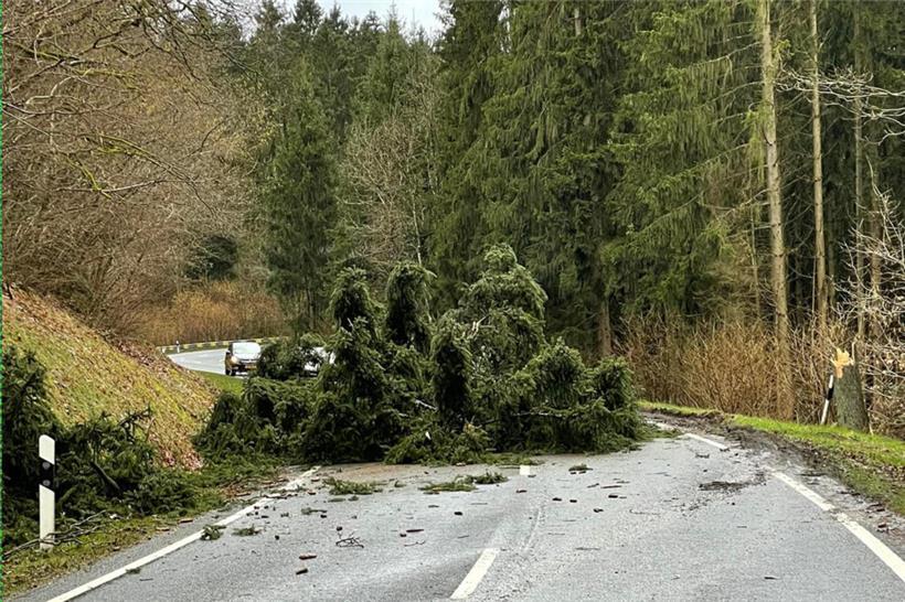 Hareler Poteau in Richtung Beiwen – auch hier ist ein Baum umgestürzt