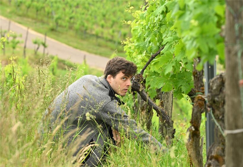 Hat den Blick für die Details: Unser Perfektionist und Leiter der Lokalredaktion Cédric Feyereisen
